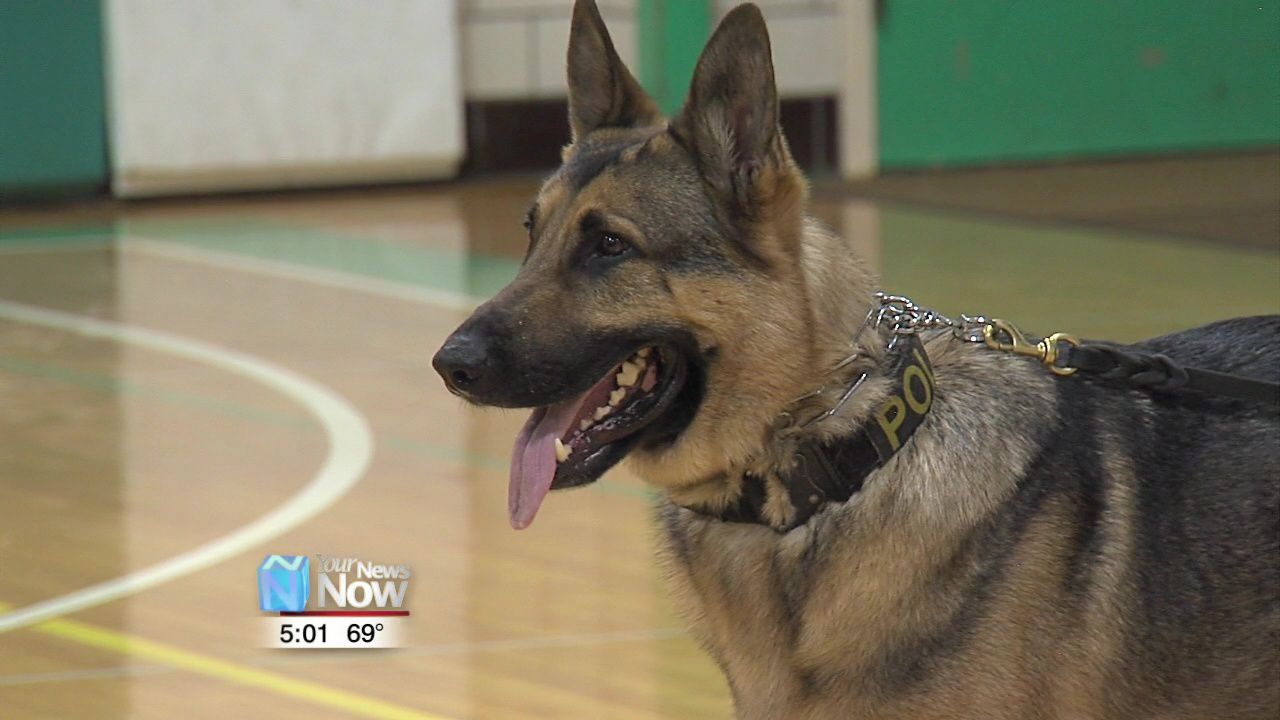 K-9 assists with arrest after shots fired call 1.jpg